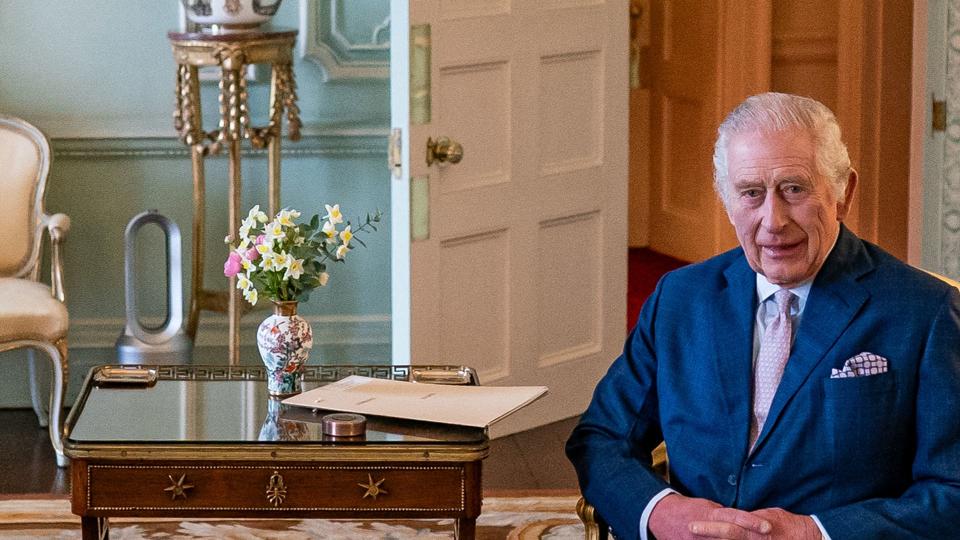 Charles in Buckingham Palace with Dyson air purifier in background