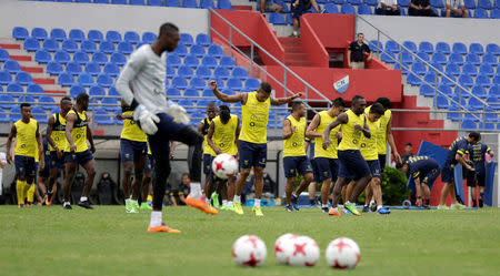 Foto del miércoles de la selección de Ecuador entrenando en el estadio Arsenio Erico. 22/03/17. REUTERS/Jorge Adorno