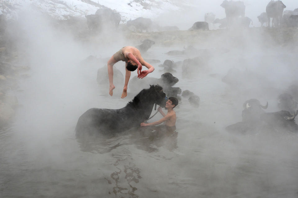 2021年1月31日，土耳其Bitlis的兩名青年，在寒冬下與水牛和馬匹在溫泉裡玩耍。