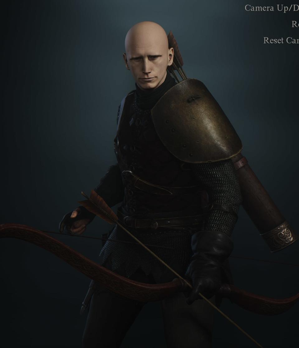 Dragon's Dogma character creator.