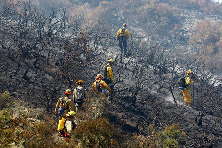 Firefighters look for hotspots during the Soberanes Fire in the mountains above Carmel Highlands, California, U.S. July 28, 2016. REUTERS/Michael Fiala