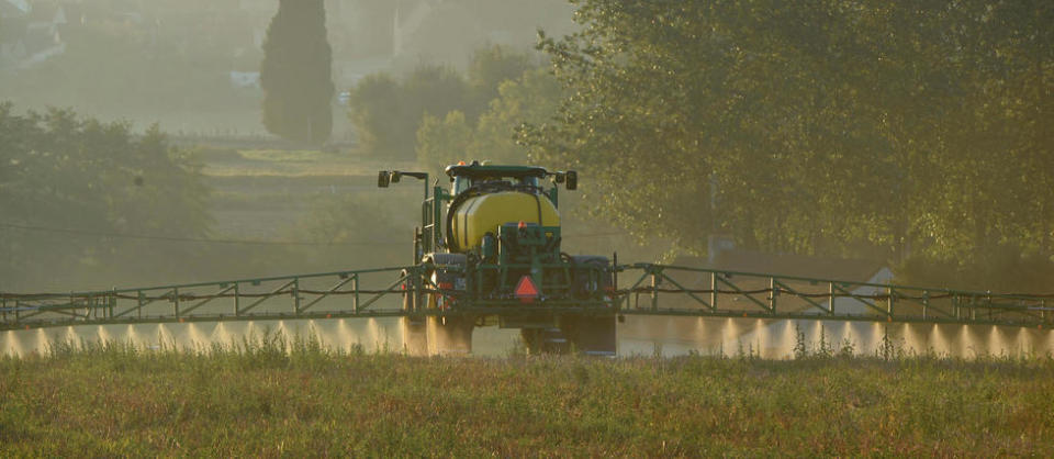 Ce rapport de l'Anses promet de bouleverser durablement les pratiques agricoles en France.
