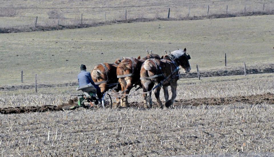 For the project to succeed, its leaders hope to create stronger connections with Amish farmers.