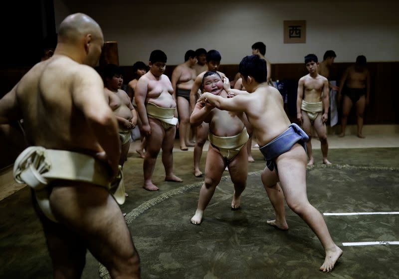 The Wider Image: Meet Kyuta: the 10-year-old, 85-kilo sumo in training