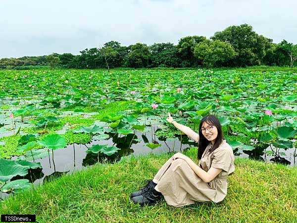 共賞花朵爭相綻放。(圖:新北市政府高灘地工程管理處提供)