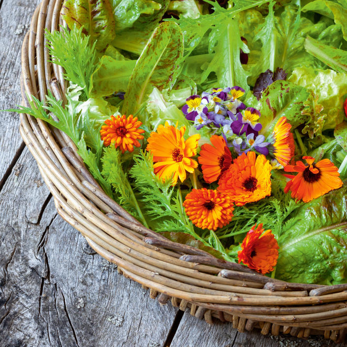  grow your own garden a basket full of mixed salad leaves and edible flowers 