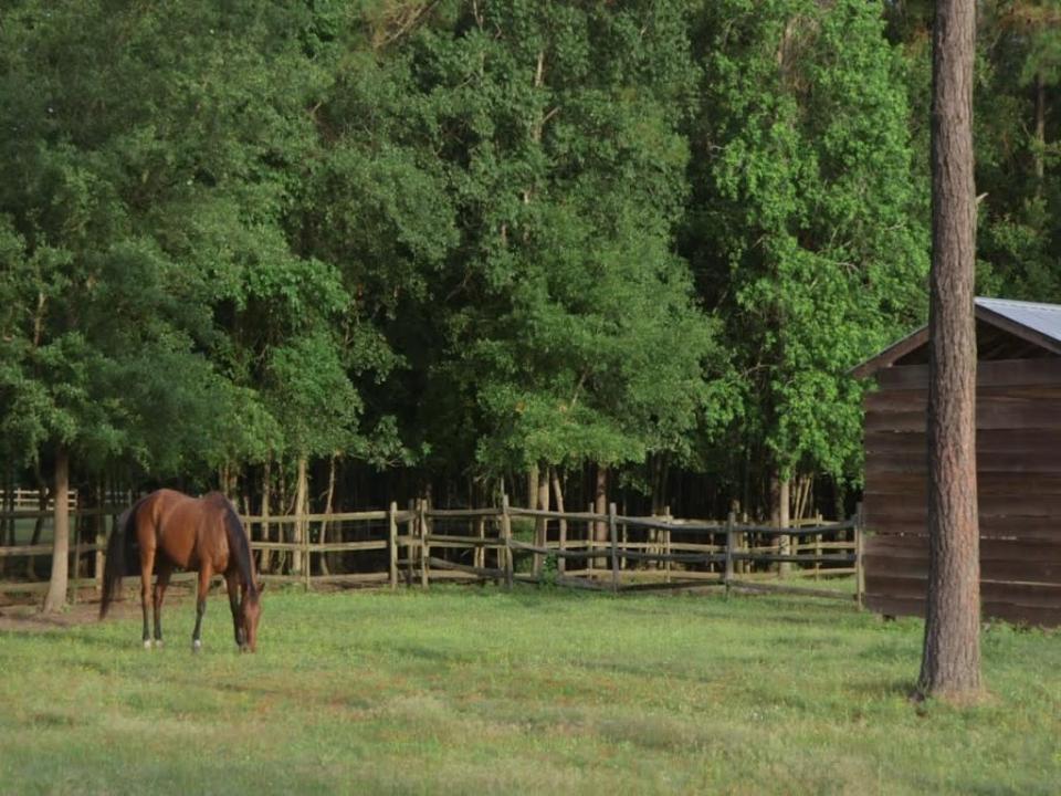 A Country Home Built Like a Barn