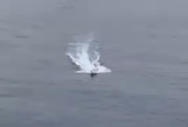 The Houthi uncrewed surface vessel approaching the M/V <em>Pumba</em>. <em>Twitter screencap</em>.