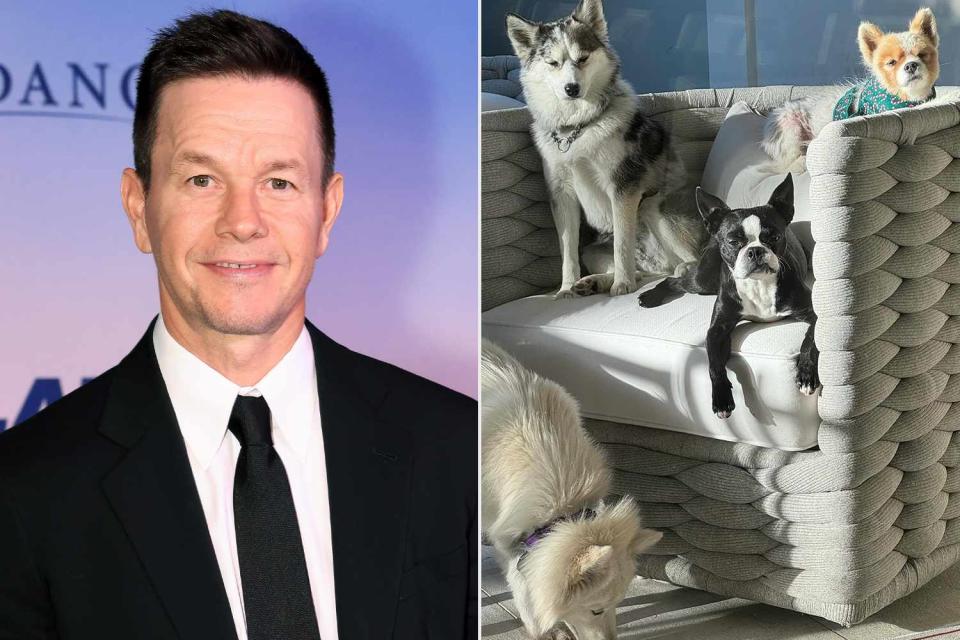 <p>Paul Citone/Variety via Getty; Rhea Wahlberg/Instagram</p> Mark Wahlberg and his four dogs