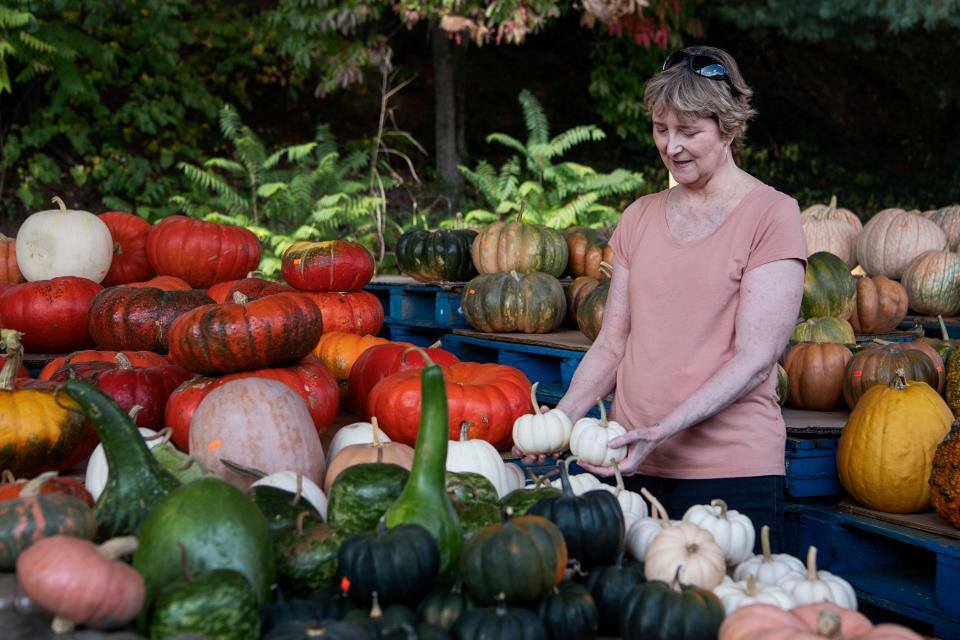 Cheryl Jones, of Georgia, shops for Autumn decor at Cavazos Premium Produce’s stand at the WNC Farmers Market while visiting Asheville, October 4, 2023.
