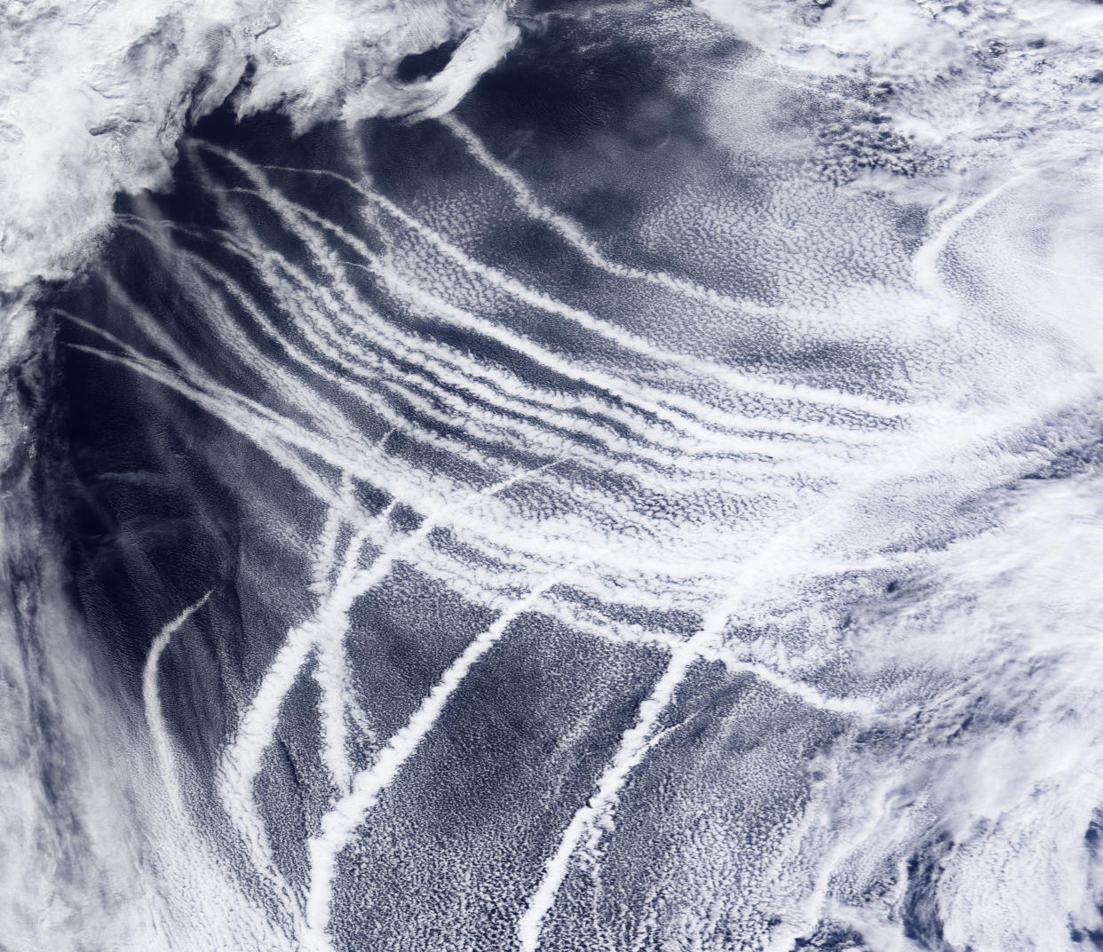El cielo sobre el noreste del océano Pacífico, lleno de nubes que se forman alrededor de las partículas expulsadas por las embarcaciones, el 4 de marzo de 2009. (Observatorio de la Tierra de la NASA vía The New York Times)
