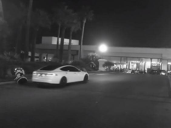 A video shared by Russian robotics firm Promobot showed a Tesla knocking over a robot (Promobot)