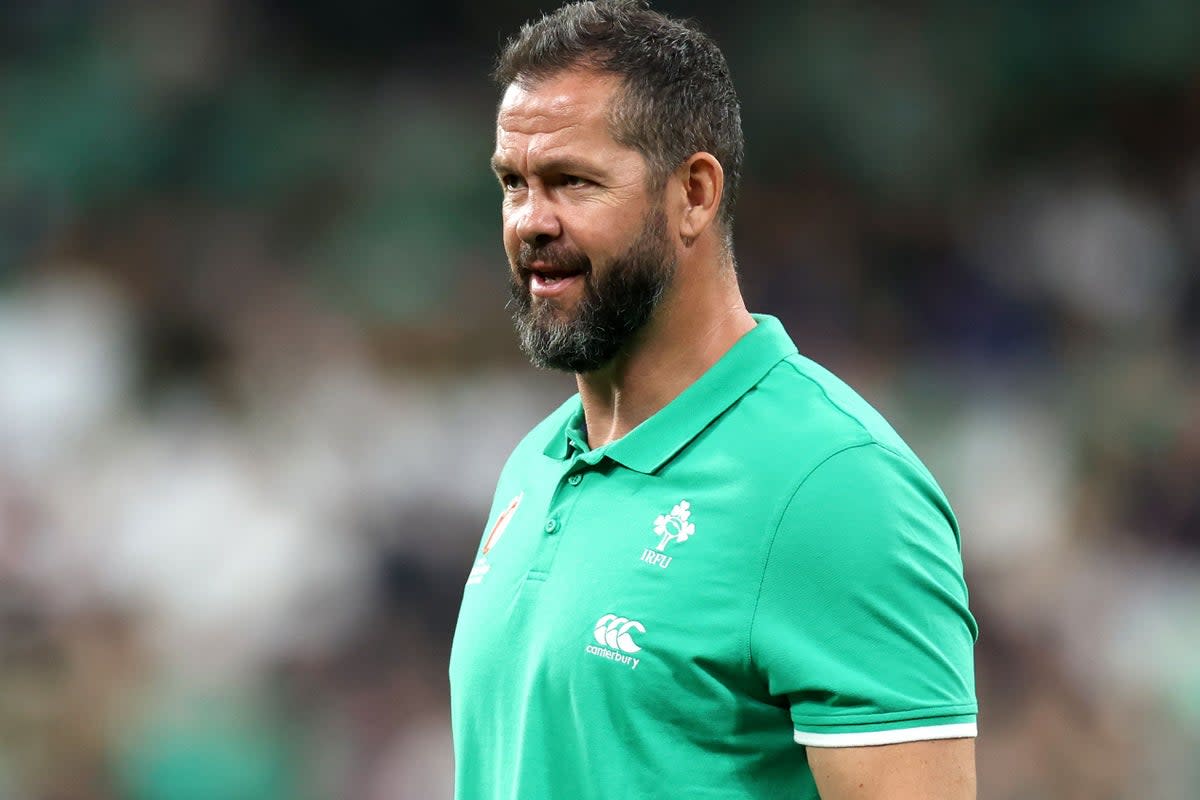 Ireland head coach Andy Farrell is expected to take charge of the Lions in 2025 (PA Wire)