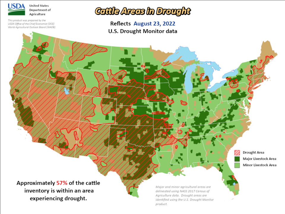 A U.S. Department of Agriculture map showing areas with cattle that are currently experiencing drought. (USDA, U.S. Drought Monitor)