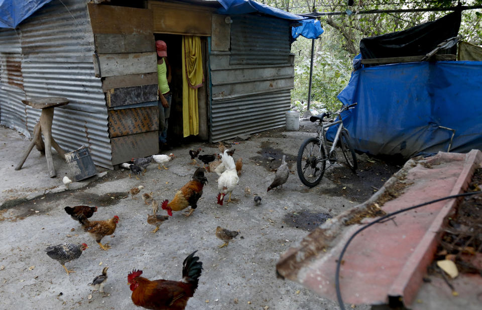 Jose Luis Espinal stands in his shack home's doorway, where his chickens peck the floor in San Pedro Sula, Honduras, Tuesday, April 30, 2019. Espinal said he joined the migrant caravan heading to the U.S. on Jan. 14, 2019, but was detained in Mexico and deported. Honduran President Juan Orlando Hernández promised a "better life" as a campaign slogan but has been unable to deliver that for the country's most vulnerable. (AP Photo/Delmer Martinez)