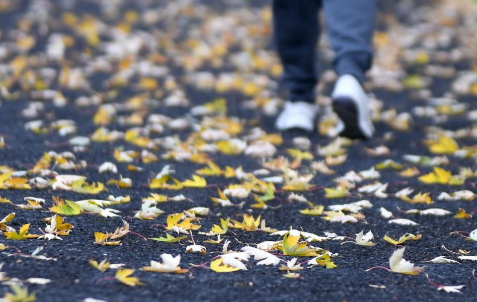 Leaves are scattered on the walking path at Stadium Park in Canton.