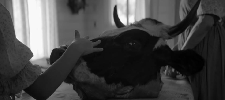 A young woman observes her mother prepare a severed cow's head in "The Eyes of My Mother"