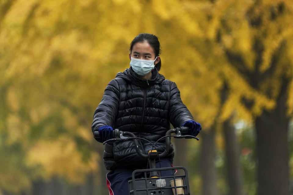 A woman wearing a face mask rides past autumn-colored ginkgo trees along a street in Beijing, Sunday, Oct. 30, 2022. (AP Photo/Andy Wong)