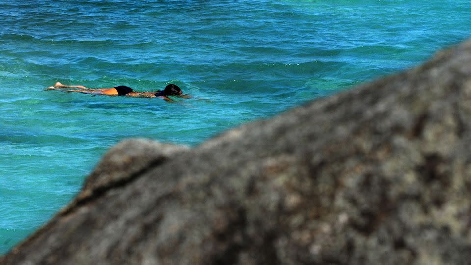 Snorkling charters run regularly across the Great Barrier Reef, as seen in this file image taken near Fitzroy Island in 2003. Source: AAP