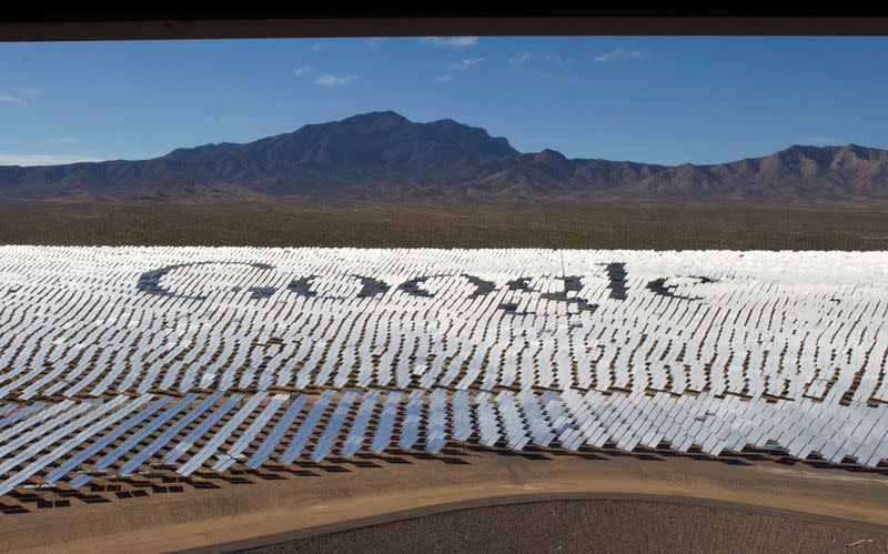 FILE PHOTO: The Google logo is spelled out in heliostats during a tour of the Ivanpah Solar Electric Generating System in the Mojave Desert near the California-Nevada border