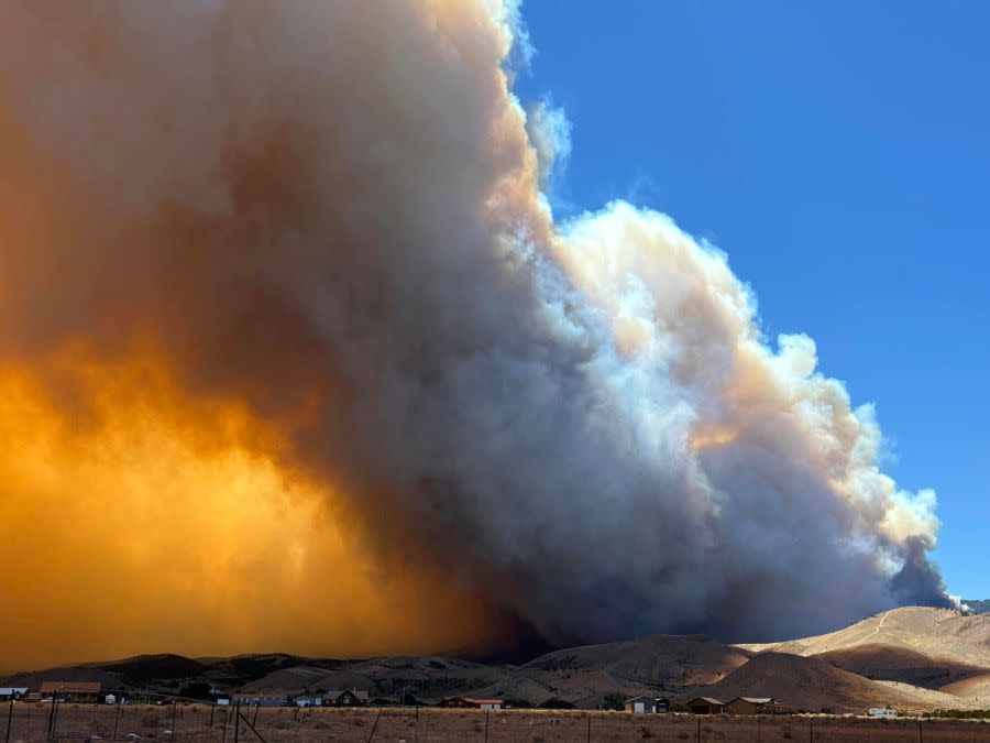 An image of the Silver King Fire shared by Utah Fire Info on July 7, 2024. (Courtesy: Utah Fire Info)