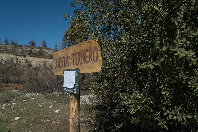 Una decena de encapuchados ocuparon tierras pertenecientes a la familia Rocco, en la zona de Cuesta del Ternero, a 40 kilómetros de El Bolsón