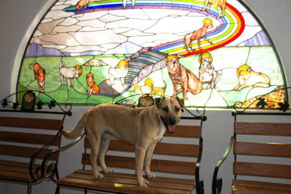 Dentro de Milagros Caninos hay una capilla dedicada a San Roque, patrono de perros y enfermos. (Foto: Natalia Osuna)