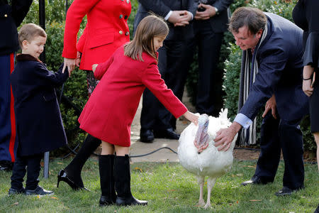 Arabella Kushner touches a turkey accompanied by her mother Ivanka Trump and brother Joseph during the 70th National Thanksgiving turkey pardoning ceremony in the Rose Garden of the White House in Washington, U.S., November 21, 2017. REUTERS/Carlos Barria