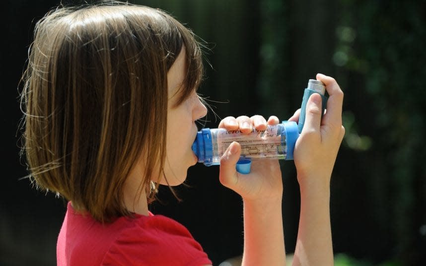 Inhaler - Credit: Peter Titmuss / Alamy Stock Photo