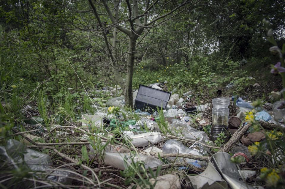 Piles of refuse, mainly plastic, abandoned amongst trees in urban woodland, West Midlands, UK.