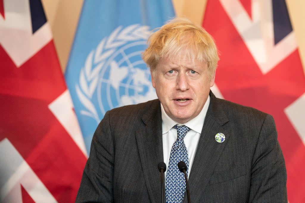 Boris Johnson was said to be ‘outraged’ by Philip Allott’s comments (Stefan Rousseau/PA) (PA Wire)