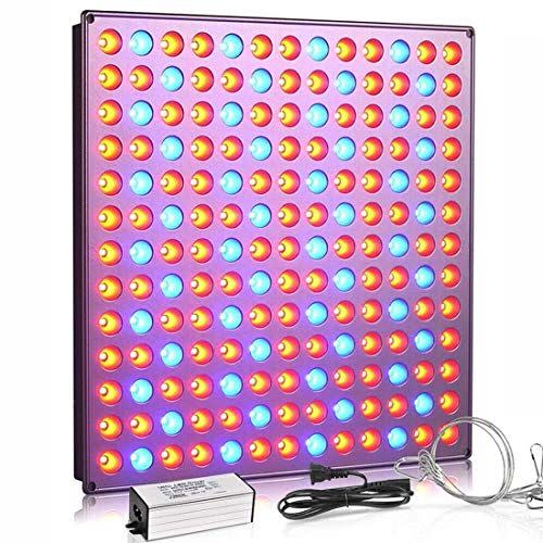 Grow Light Panel