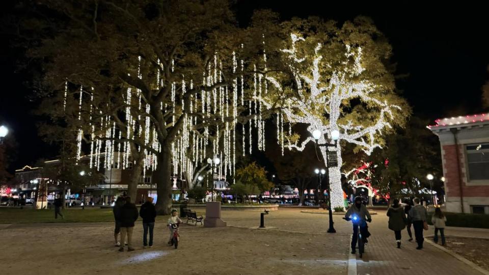 The trees in Paso Robles’ Downtown City Park are decked out in thousands of lights on Dec. 12, 2023.