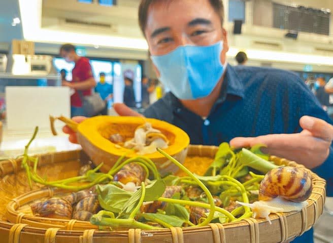 台東長濱鄉阿美族返鄉青年文宏程以戶外圈養方式養白玉蝸牛，打造台東的白玉奇蹟。（莊哲權攝）