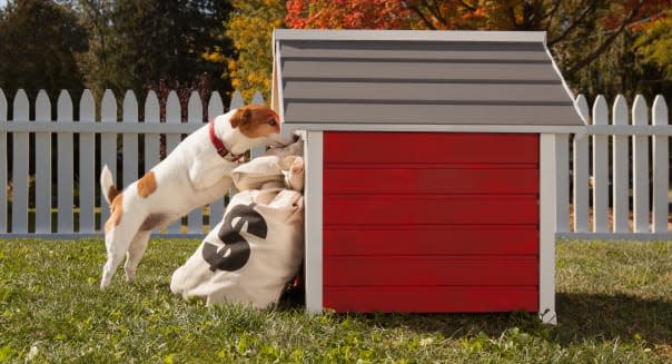 Dog storing money bags