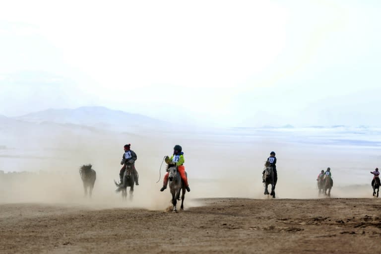 Children's light weight gives them an advantage in horse races in Mongolia that often run for 18 to 26 kilometres, among the longest on earth