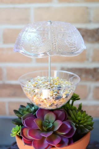 <p><a href="https://diycandy.com/make-an-easy-diy-bird-feeder-two-ways/" data-component="link" data-source="inlineLink" data-type="externalLink" data-ordinal="1">DIY Candy</a></p>