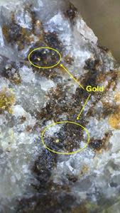 Two trench samples, including one pictured above, showed sphalerite-galena-chalcopyrite and native gold.