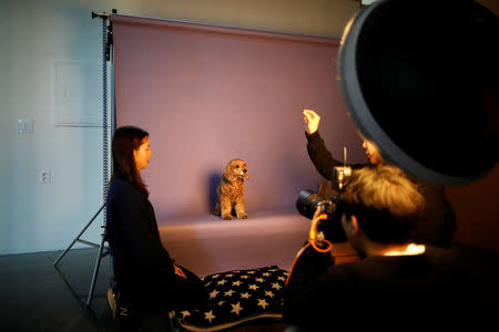 A photographer takes a photograph of a pet dog at a pet studio in Seoul, South Korea, January 17, 2019. REUTERS/Kim Hong-Ji