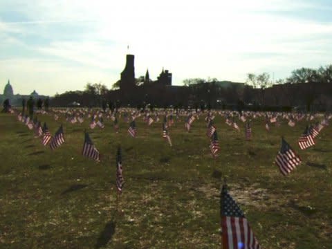 flags veteran suicide