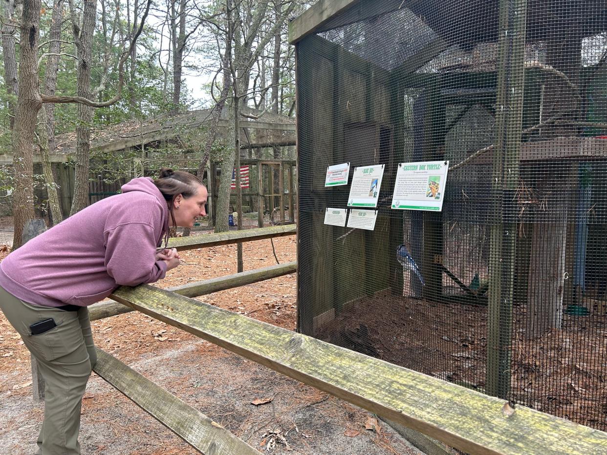 Heather Evans, assistant director of wildlife rehabilitation and volunteer coordinator at Woodford Cedar Run Wildlife Refuge, greets Blueberry, a bluejay who can't be released into the wild because it's been conditioned to human contact.