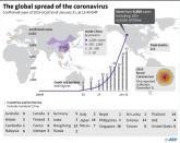 Spread of the Wuhan coronavirus