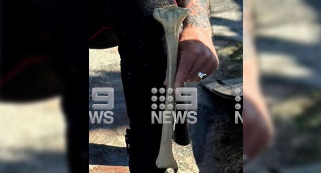 The human bone can be seen as the scuba diver holds it to camera, with his wetsuit figure visible behind it.