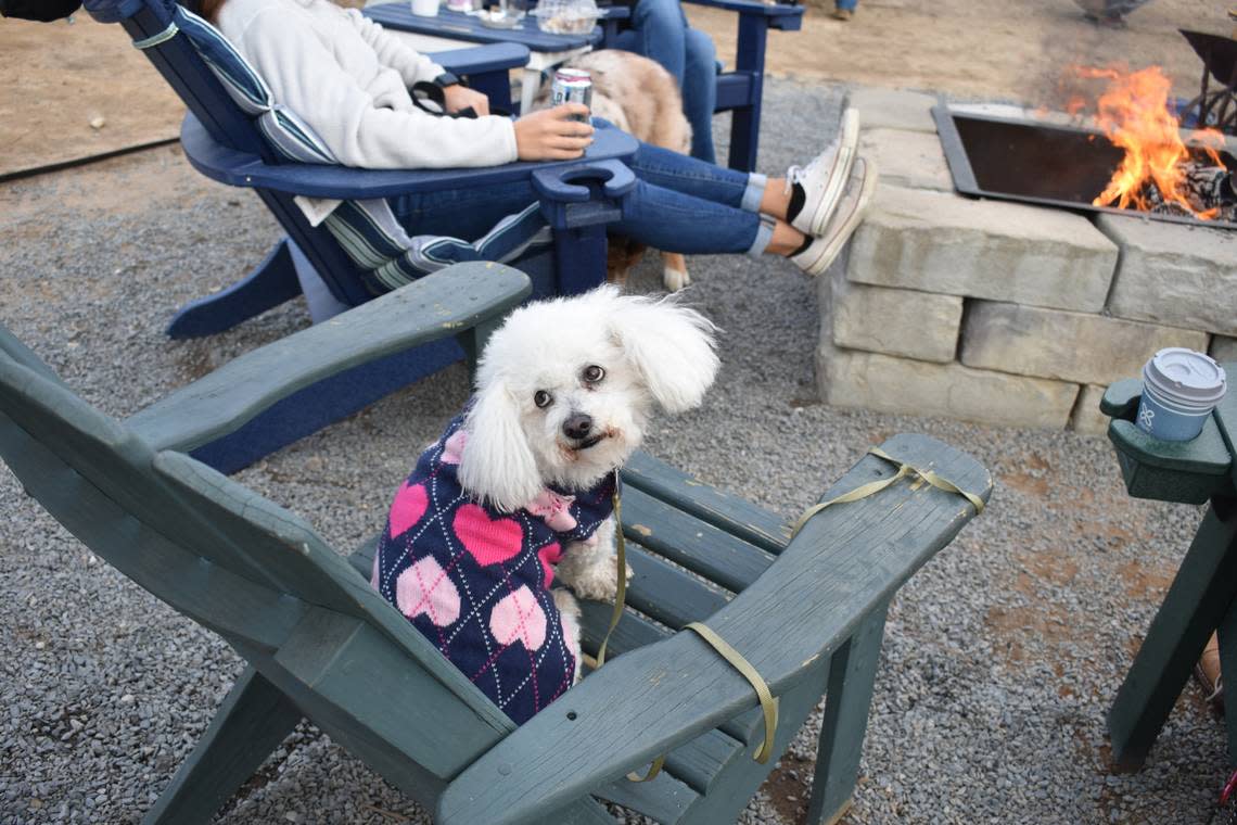 Daisy warms up by the fire at Red’s Corner during a countywide power outage.