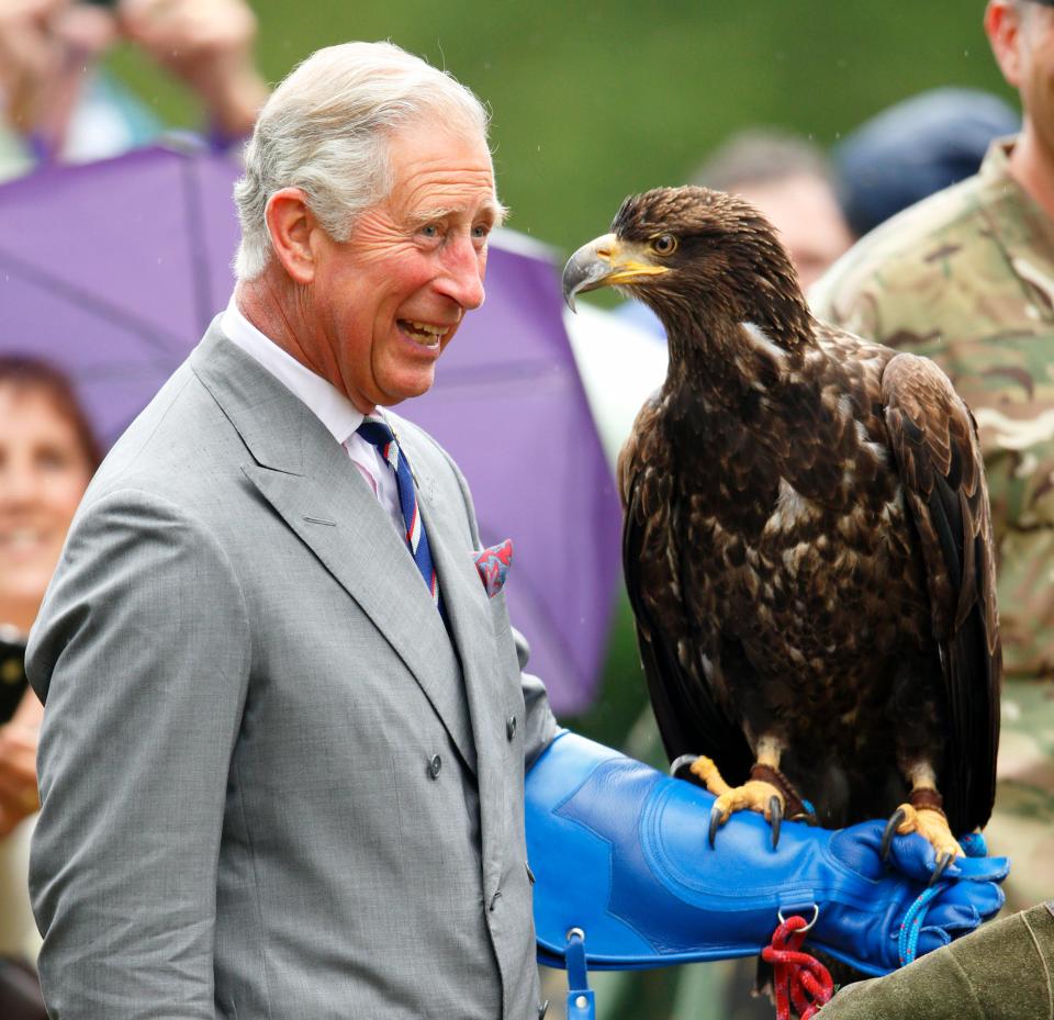 King Charles holds an eagle on his gloved arm