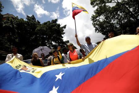 Pro-government supporters holding Venezuela's flag march in Caracas, Venezuela August 7, 2017. REUTERS/Ueslei Marcelino