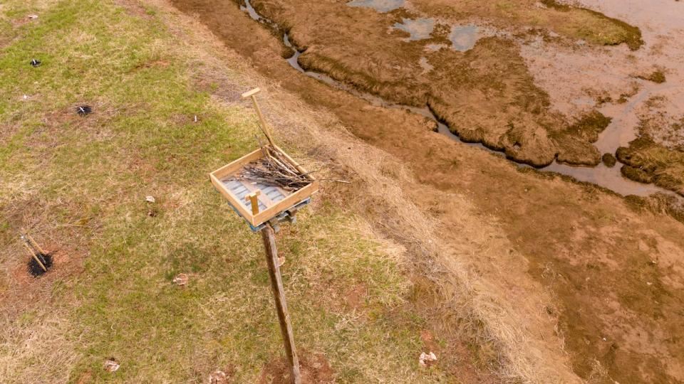 A view of the new osprey platform from the drone 