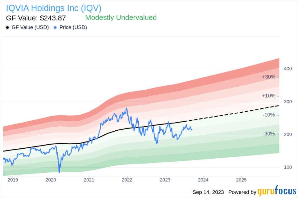 IQVIA Holdings (IQV): A Modestly Undervalued Gem?