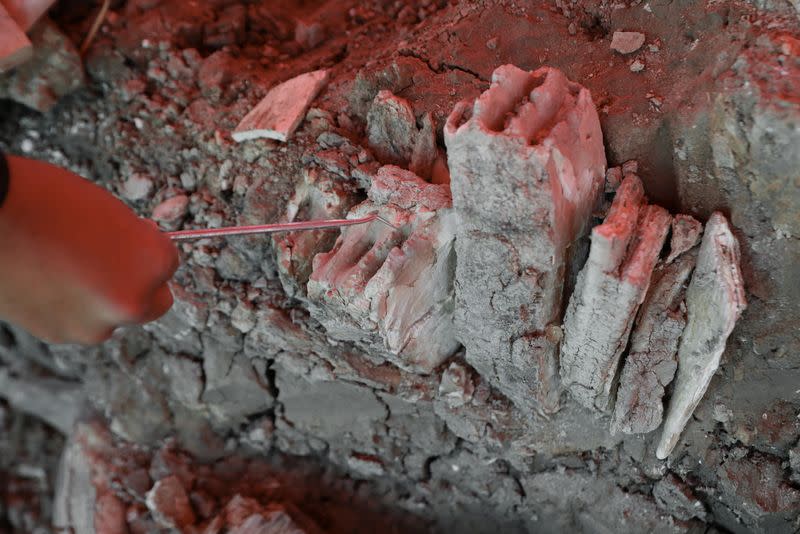 Archaeologists with the National Institute of Anthropology and History (INAH) work at a site where they are unearthing remains of mammoths, in Zumpango