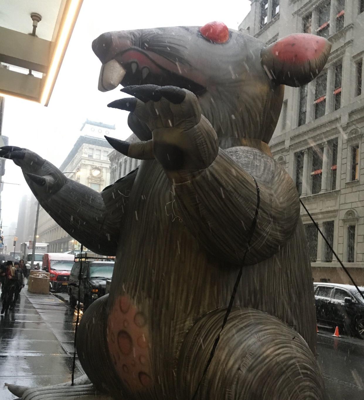 Scabby the Rat, which unions use to shame management during disputes, appeared Thursday outside the Law360 offices in Manhattan. (Photo: Daniel Marans/HuffPost)